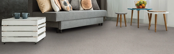 carpet in living room